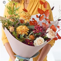 The Calming Chrysanthemums
