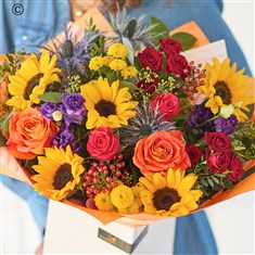 The Sunflower Carnival